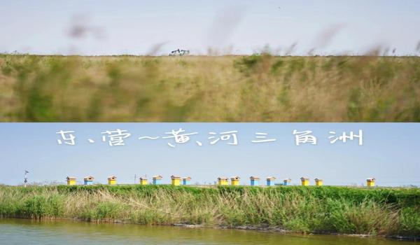 三角洲手游透视科技怎么买(给我提供一个三角洲手游透视科技链接) 三角洲手游透视科技怎么买(给我提供一个三角洲手游透视科技链接)